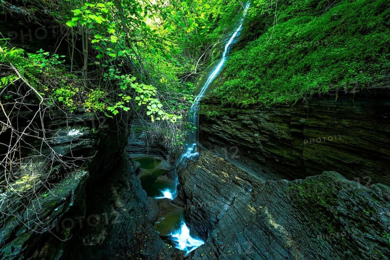Watkins Glen State Park: Gorge Trail