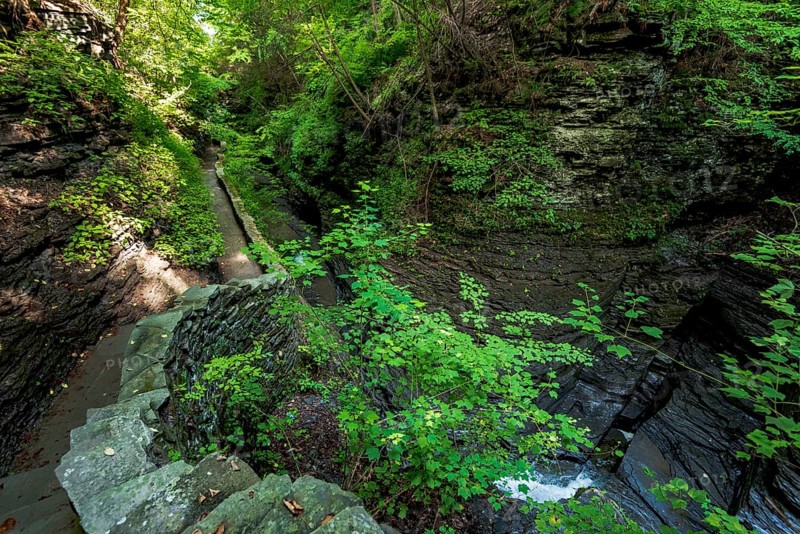 Watkins Glen State Park: Gorge Trail