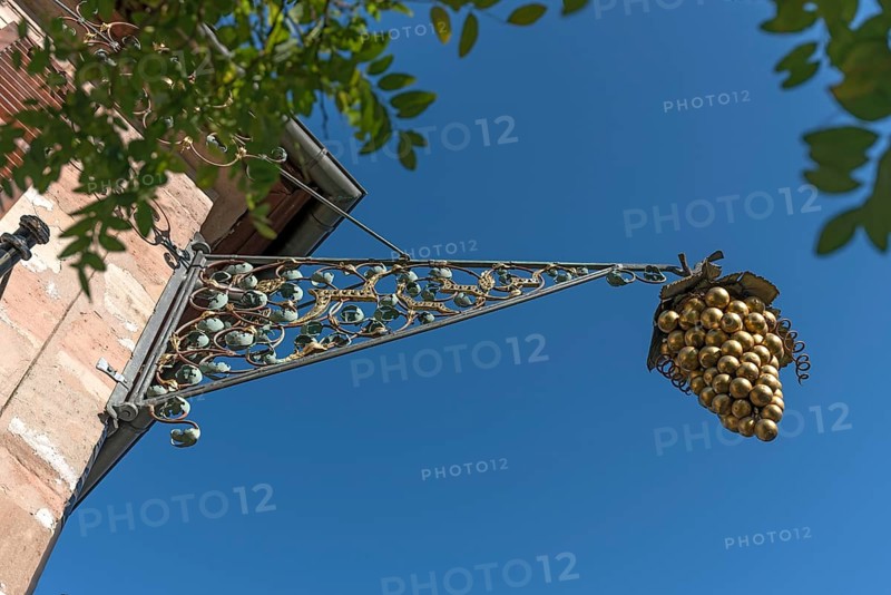 Nose plate of a grape of a wine bar