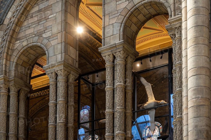 Ornate Columns