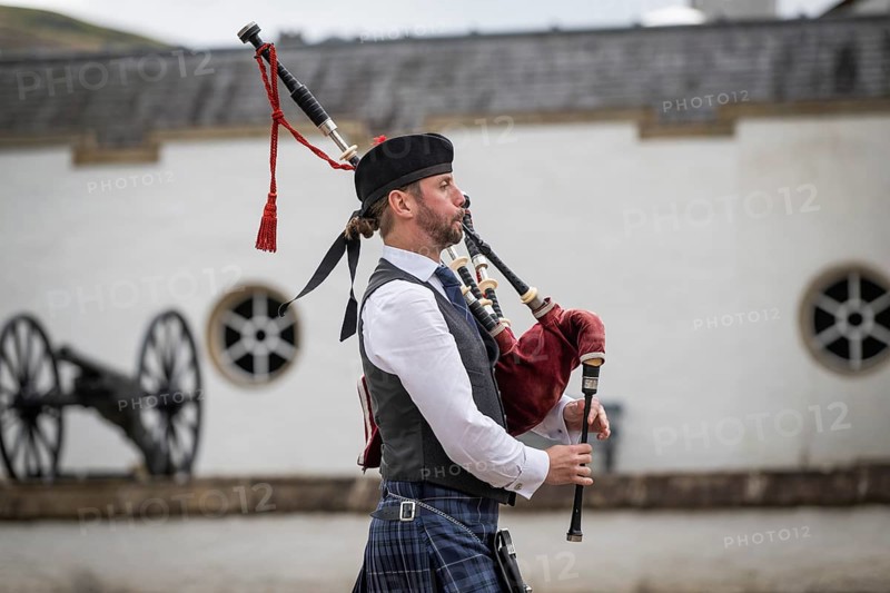 Piper