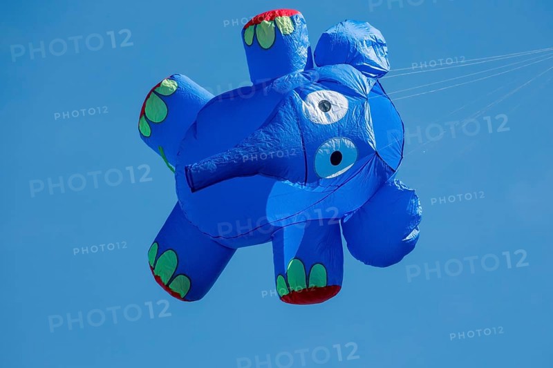 Elephant as dragon at the Dragon Festival