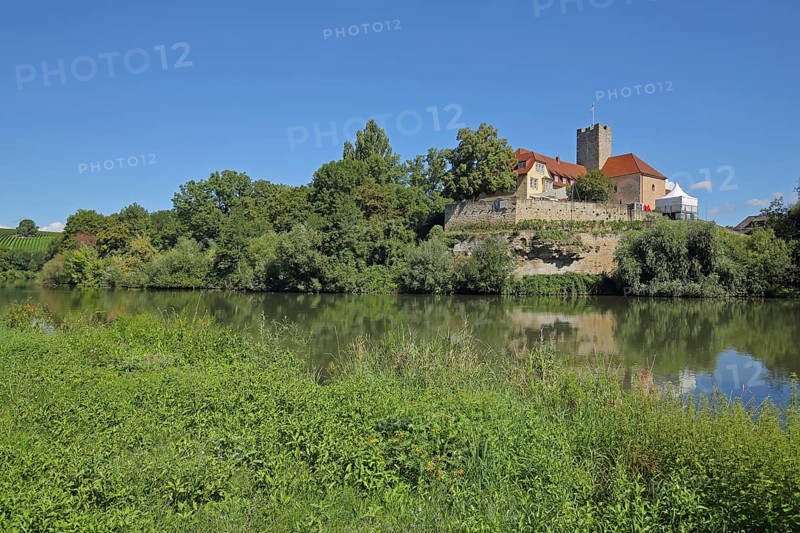 View across the Neckar to Grafenburg Castle