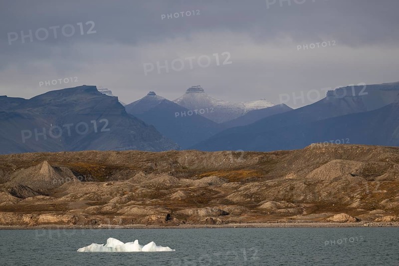 Iceberg