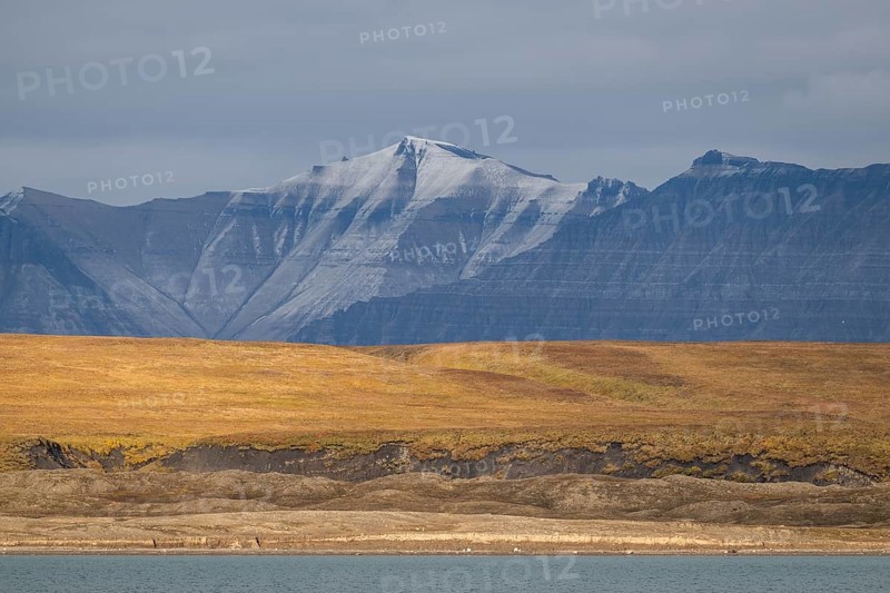 Coastal landscape