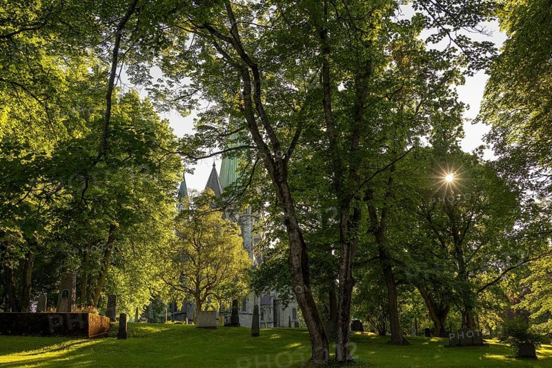 Domkirkegården