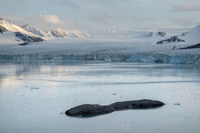 Hornbreen Glacier