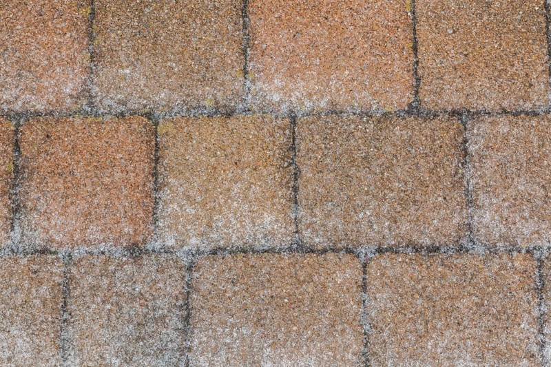 Nuanced tan and brownish paving stones covered with layer of ice