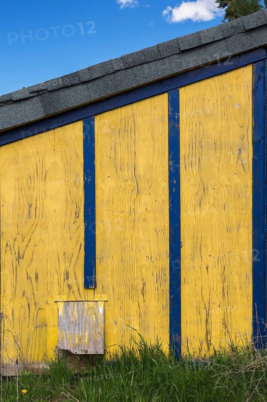 Yellow painted plywood sheet with blue trim and grey asphalt shingles roof storage shed
