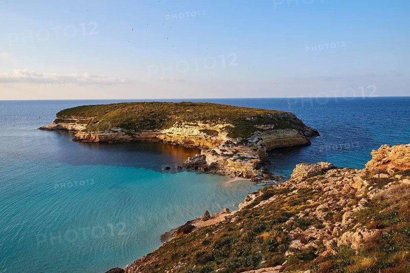 Rabbit Island