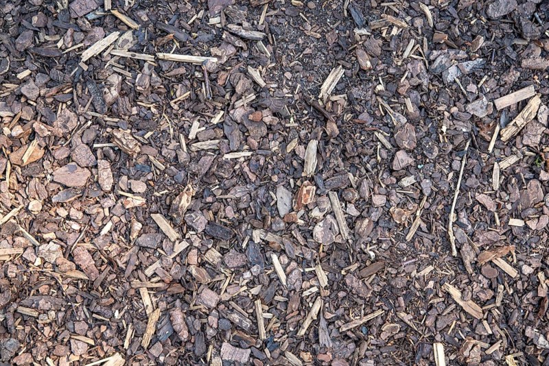 Bark mulch as texture or background