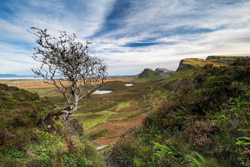 View of rocky landscape Quiraing
