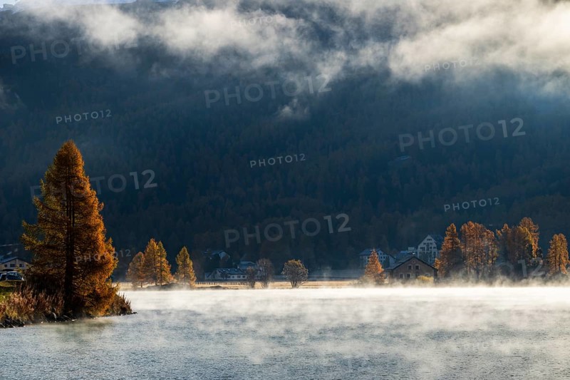 Backlight with fog at Lake Sils