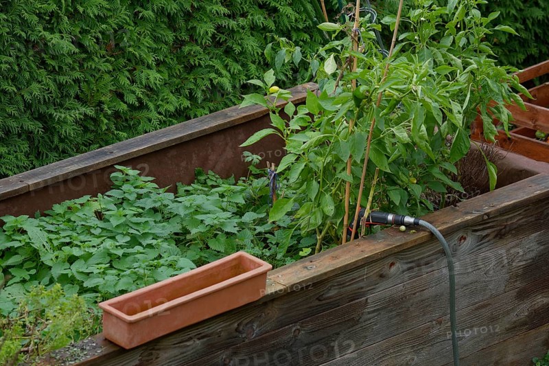 Raised bed