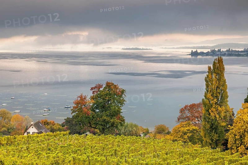 Foggy atmosphere over Lake Constance on an autumn morning