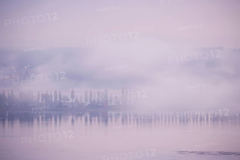Foggy atmosphere at sunrise with view of the Seerhein