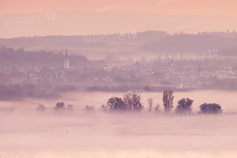 Foggy atmosphere at sunrise with view of the Seerhein