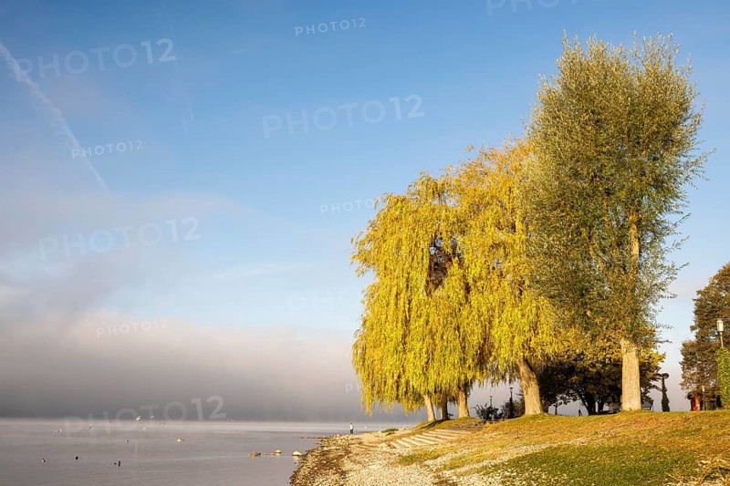 Fog over Lake Constance on an autumn morning with boats