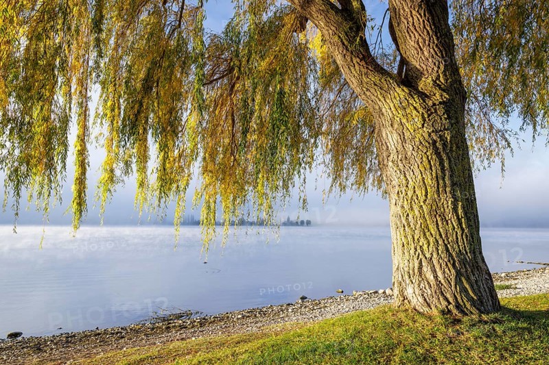 Fog over Lake Constance on an autumn morning with boats