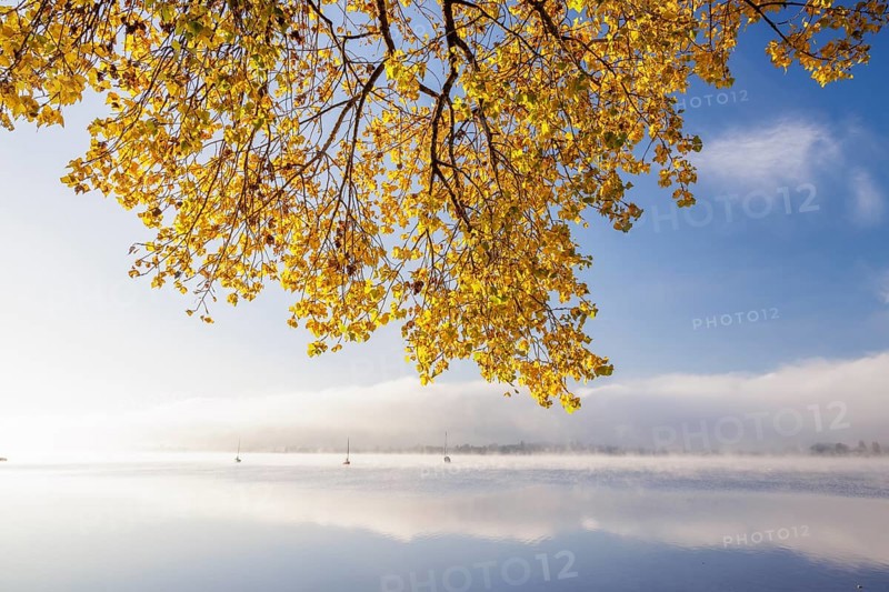 Fog over Lake Constance on an autumn morning with boats