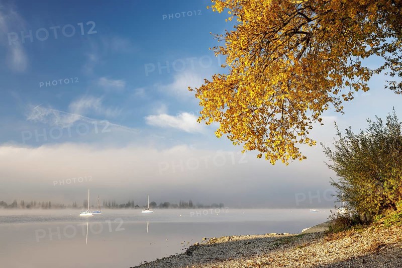Fog over Lake Constance on an autumn morning with boats