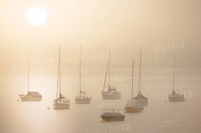 Fog over Lake Constance on an autumn morning with sailing boats