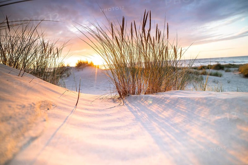 Sunset in the dunes at the North Sea