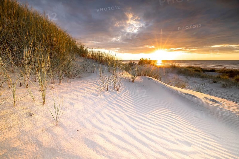 Sunset in the dunes at the North Sea