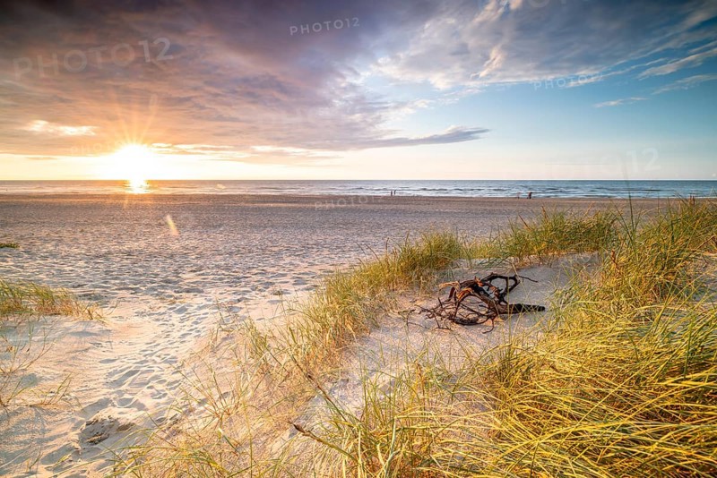 Sunset in the dunes at the North Sea