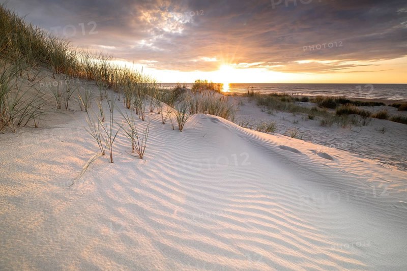 Sunset in the dunes at the North Sea