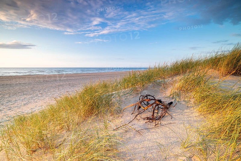 Sunset in the dunes at the North Sea