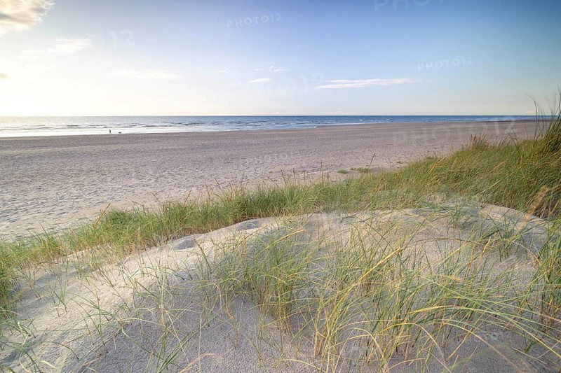 Dune landscape on the North Sea coast in De Panne