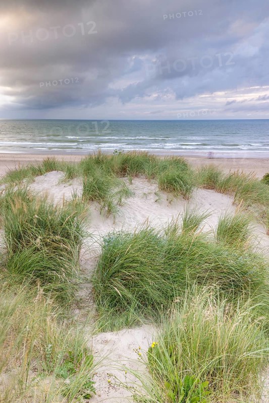 Evening mood with cloudy sky and rain on the beach and in the dunes of De Panne