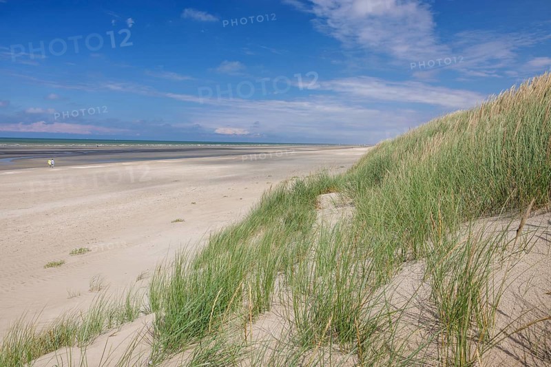 Dune landscape on the North Sea coast in De Panne