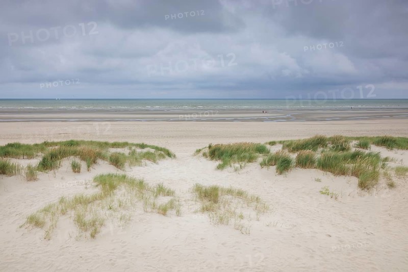 Dune landscape on the North Sea coast in De Panne