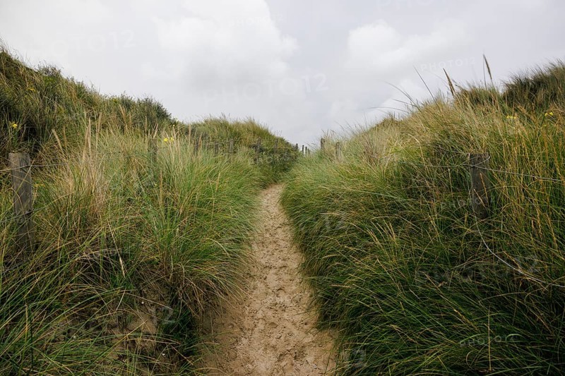 Dune landscape on the North Sea coast in De Panne