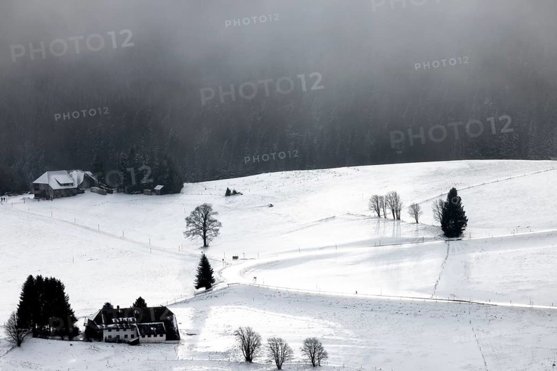 Winter landscape near the wind beeches with fog and morning light