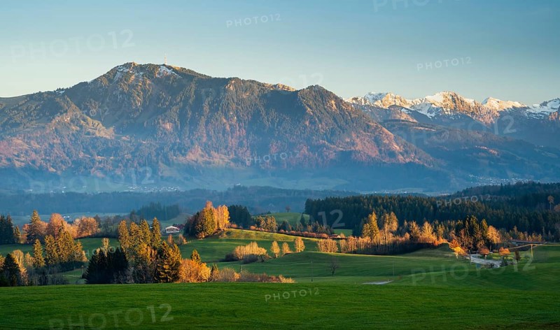 Autumn landscape in the Allgäu. View of the Grünten mountain at golden hour. Meadows and trees in autumn leaves in the foreground. Immenstadt im Allgäu area