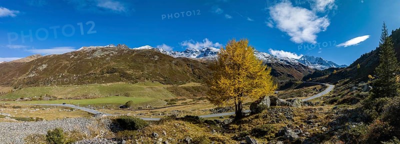 Colourful larches and mountain panorama