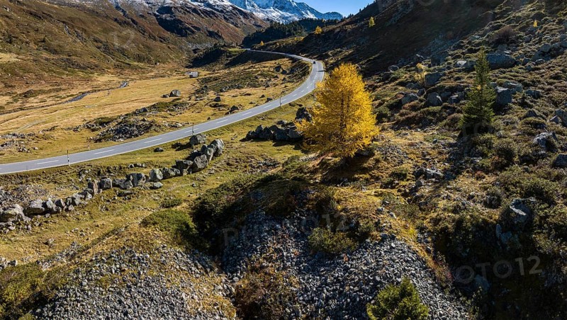 Colourful larches and mountain panorama