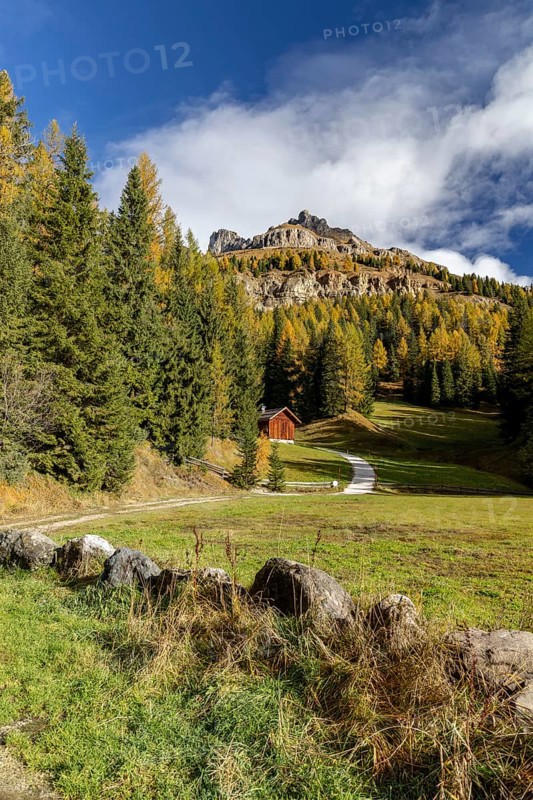 Autumnal coloured larches at the foot of the Catinaccio massif