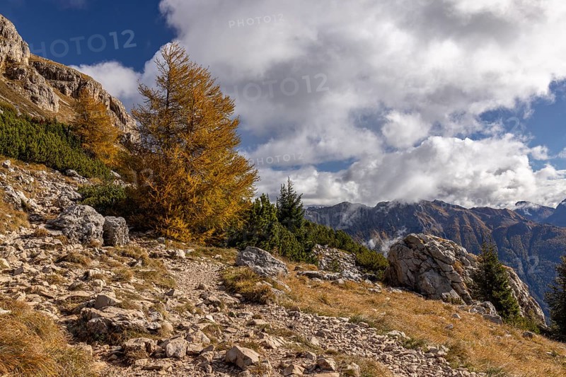 Autumnal coloured larches at the foot of the Catinaccio massif