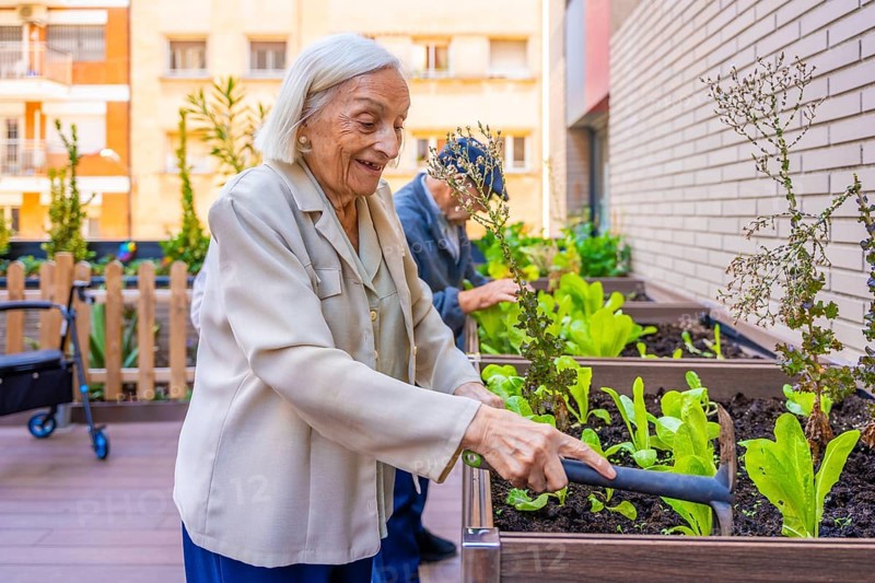 Senior woman planting lettuce in a vegetable garden in a nursing home