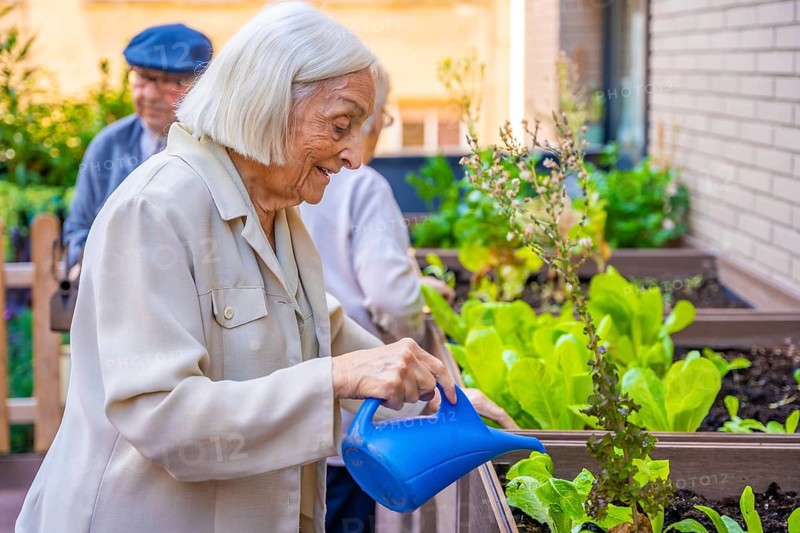 Profile of three seniors watering a vegetable urban garden in a geriatric