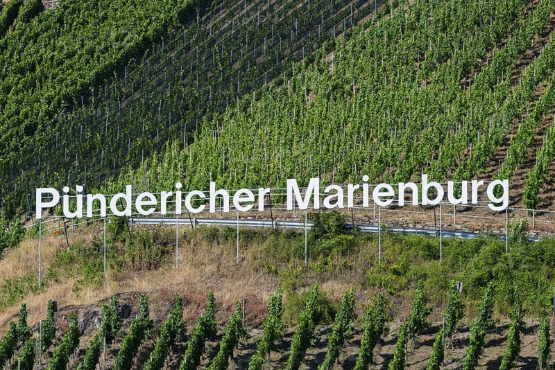Pündericher Marienburg vineyard