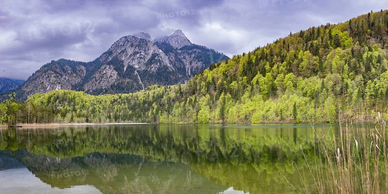 Schwansee