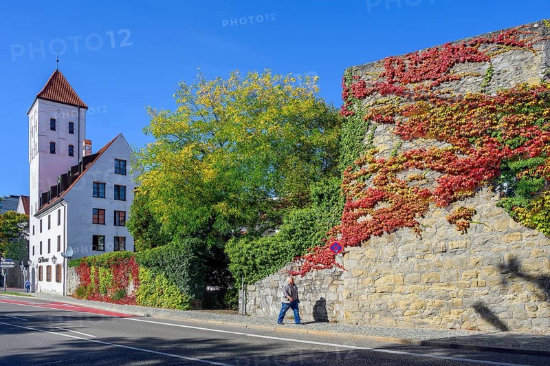 Waisentor and Burgstraße with last remains of the town wall overgrown with wild vine