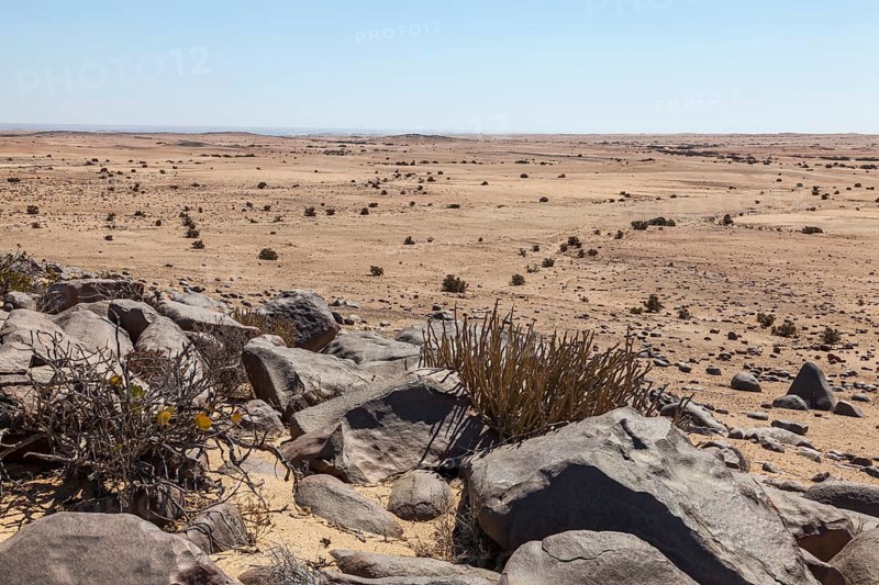Landscape in the Namib Naukluft Park