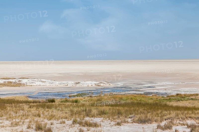 At the edge of the Etosha salt pan