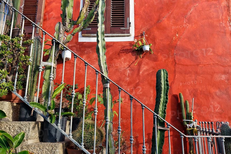 Staircase decorated with cacti in front of red house façade